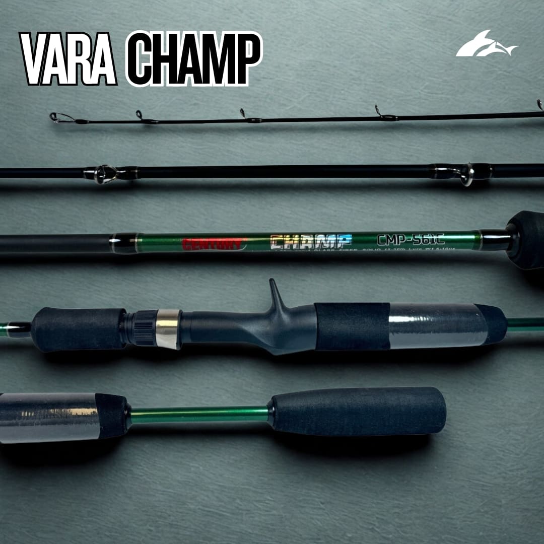 Kit de Casting Champ - Atenas + Obsequio